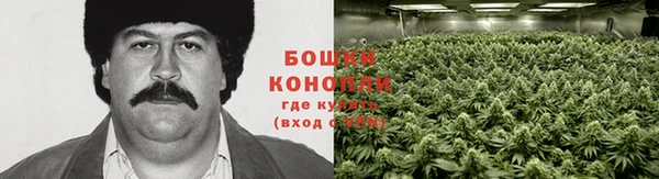 эйфоретик Балабаново