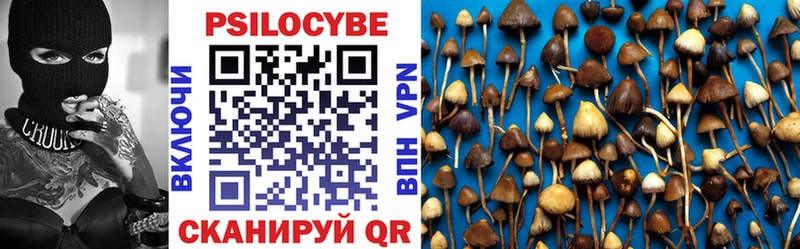 Галлюциногенные грибы Psilocybine cubensis  дарк нет клад  Котово  закладки 